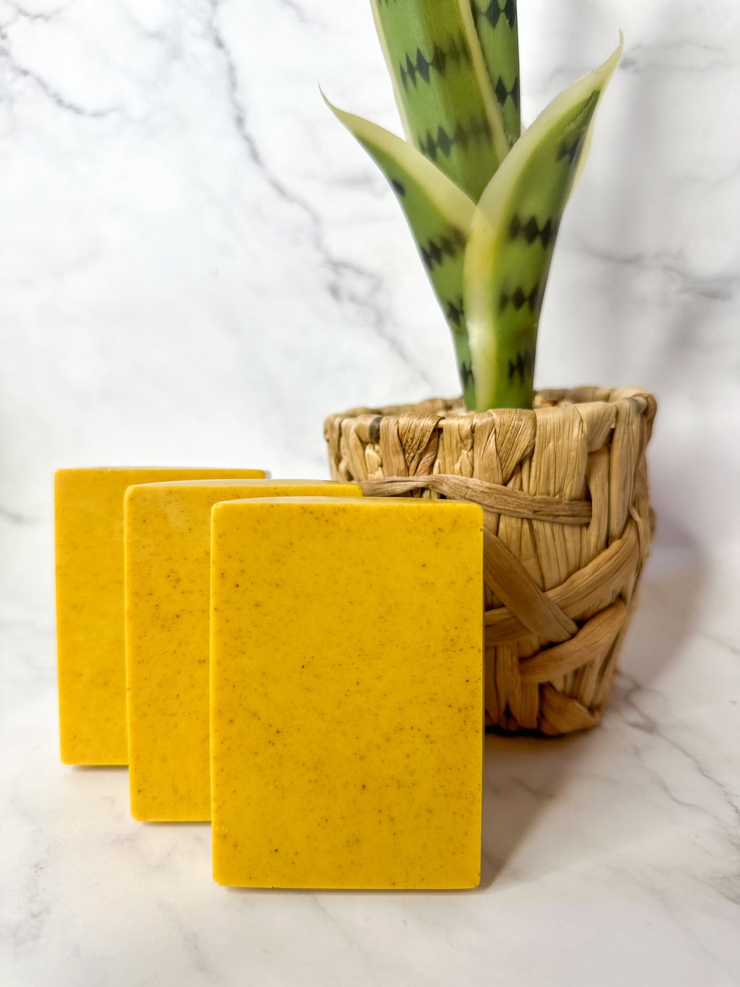 Turmeric & Ginger Soap (Skin Brightening)