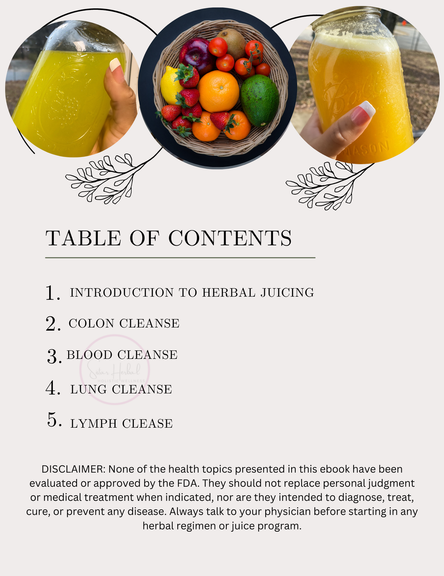 Easy Herbal Juice Recipe Guide Ebook